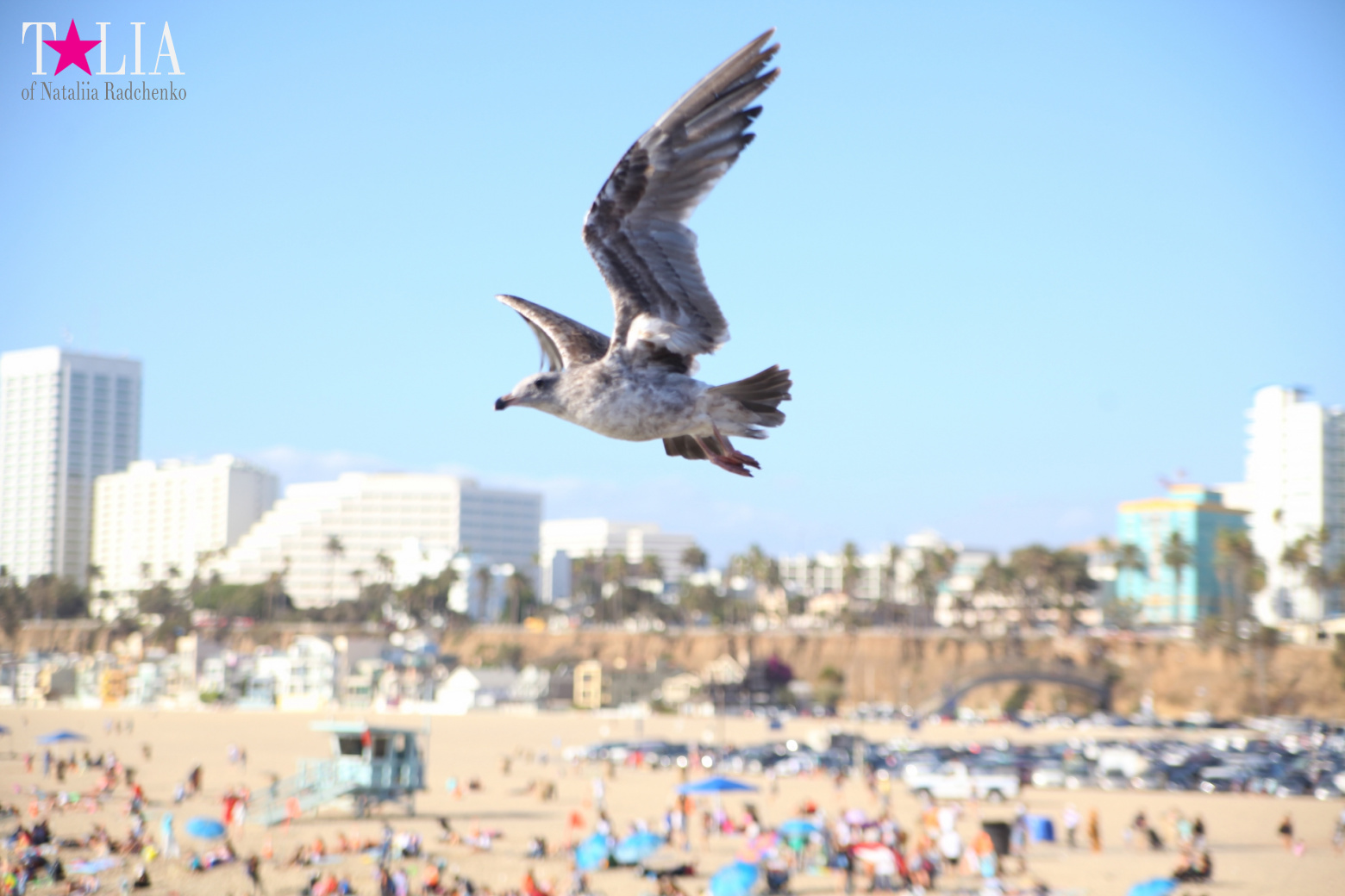 Santa Monica Pier in Los Angeles